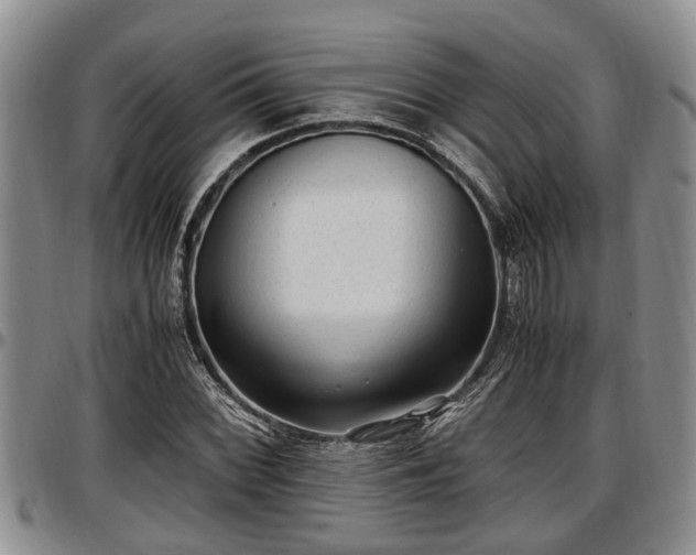 X0000097501068200802291553