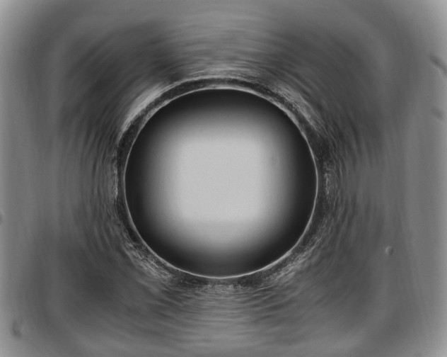 X0000097501069200802291553