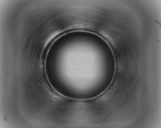 X0000097501070200802291553
