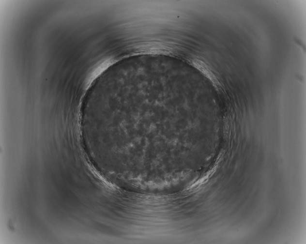 X0000097501071200802291553
