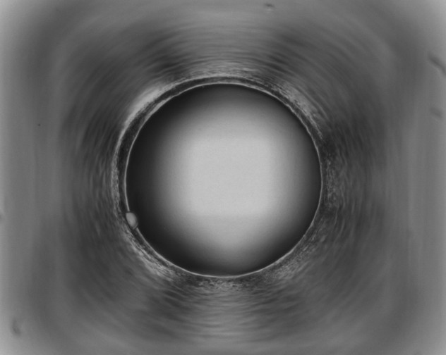 X0000097501072200802291553