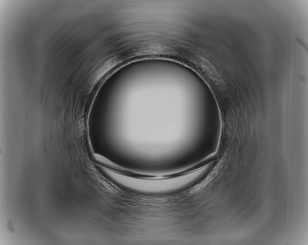 X0000097501073200802291553