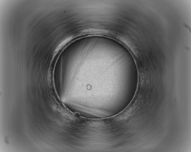 X0000097501074200802291553