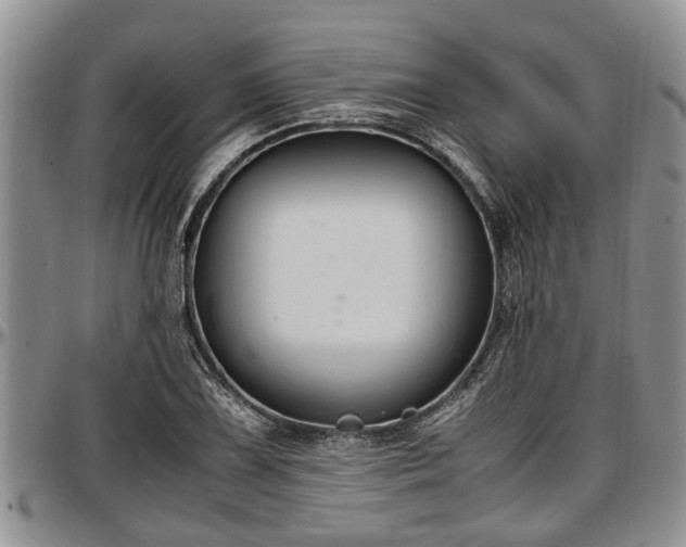 X0000097501075200802291553