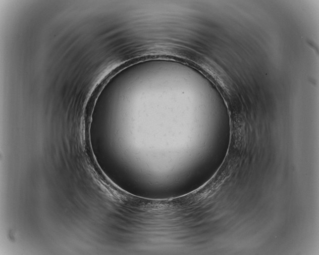 X0000097501076200802291553