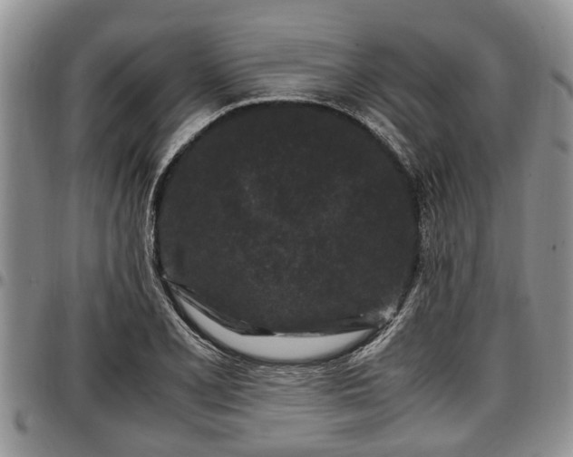 X0000097501077200802291553