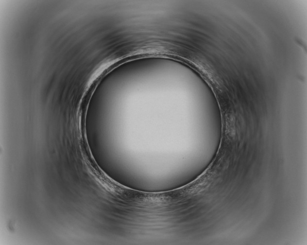 X0000097501078200802291553