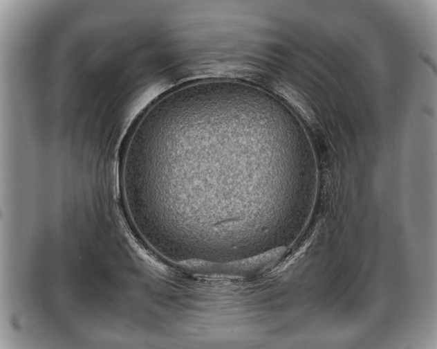 X0000097501079200802291553