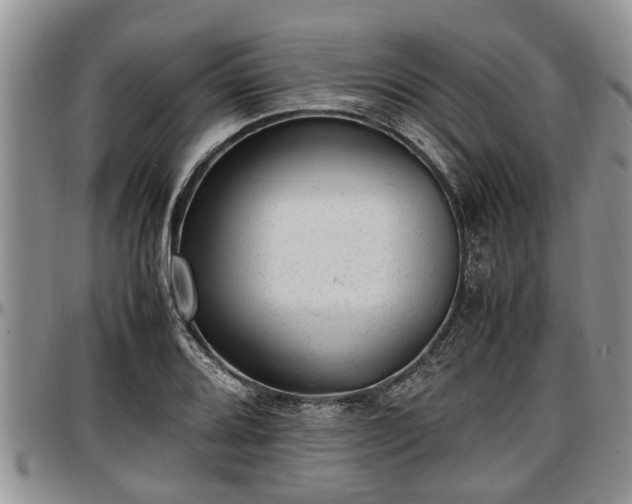X0000097501080200802291553