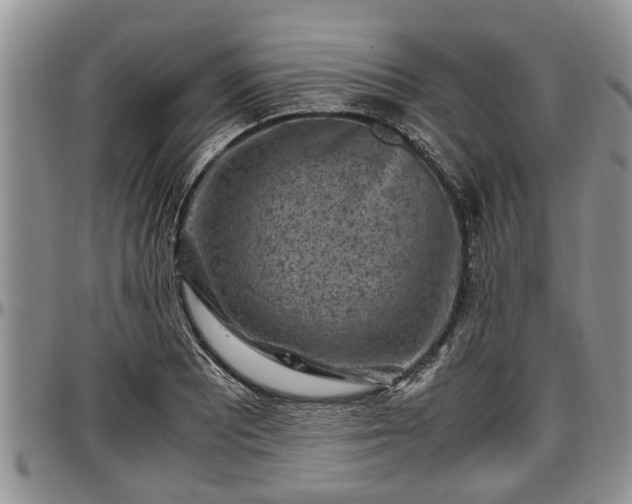 X0000097501081200802291553