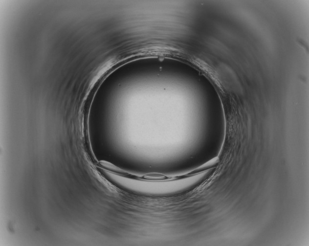 X0000097501083200802291553