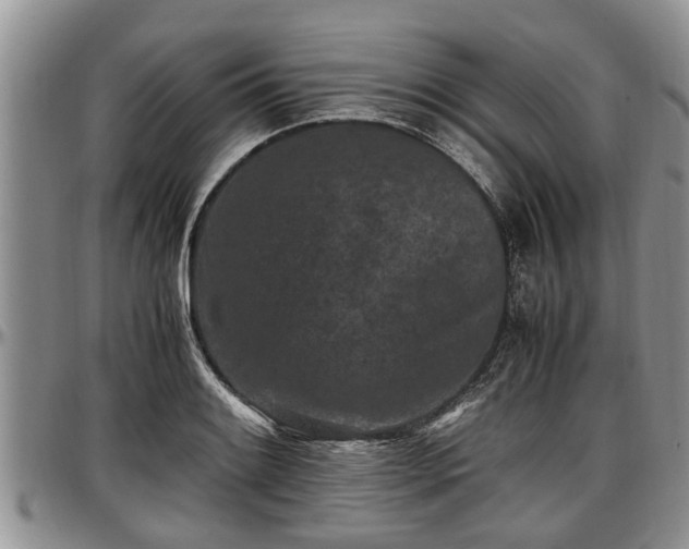 X0000097501084200802291553