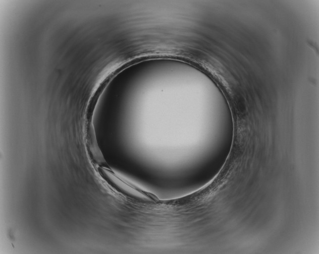 X0000097501085200802291553