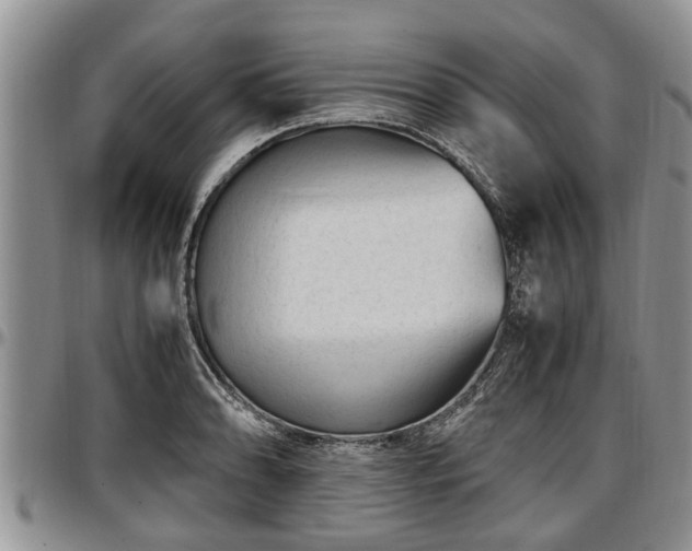 X0000097501086200802291553