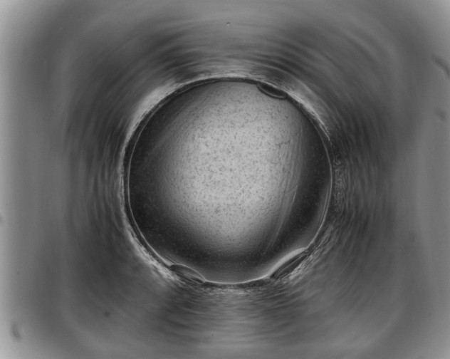 X0000097501088200802291553