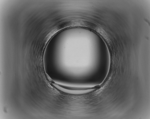 X0000097501089200802291553