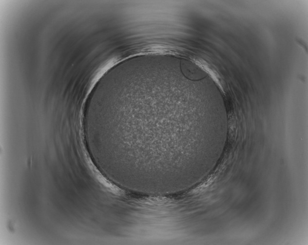 X0000097501091200802291553