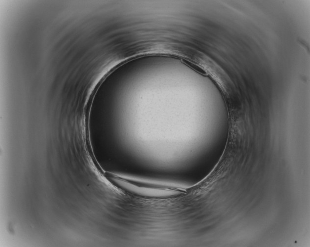 X0000097501092200802291553