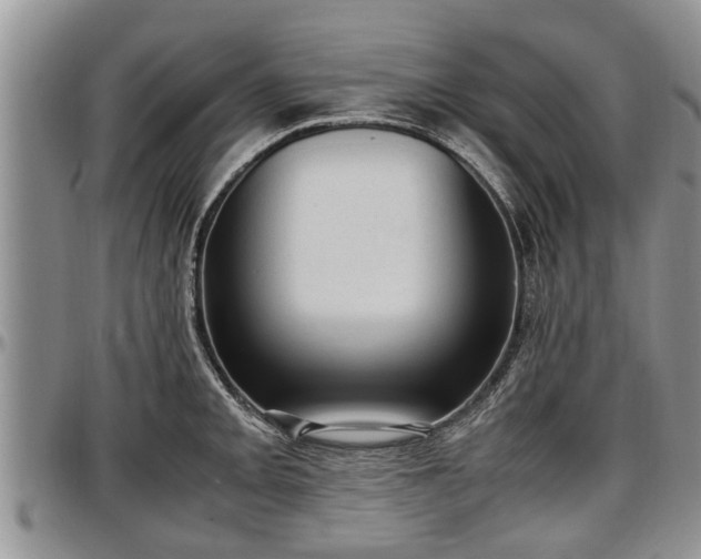 X0000097501093200802291553