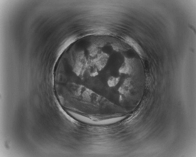 X0000097501095200802291553