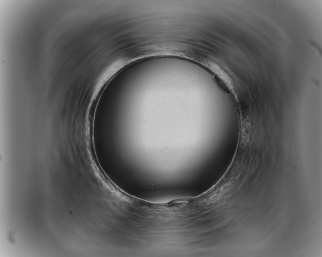 X0000097501096200802291553