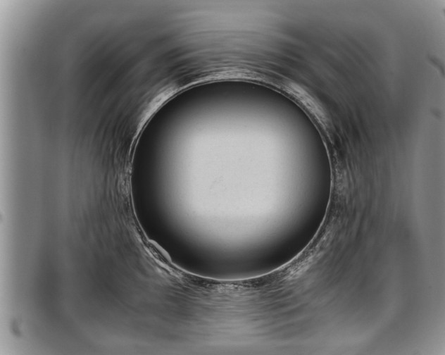 X0000097501097200802291553