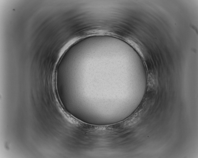 X0000097501098200802291553