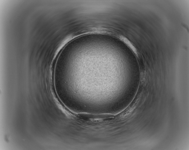 X0000097501099200802291553