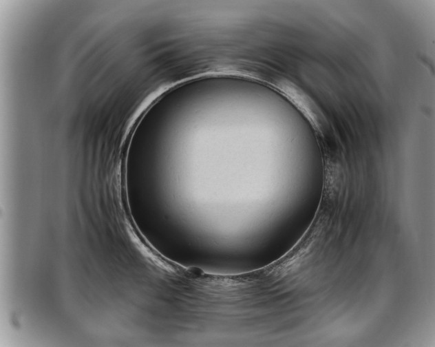 X0000097501100200802291553