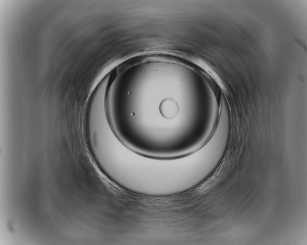 X0000097501101200802291553