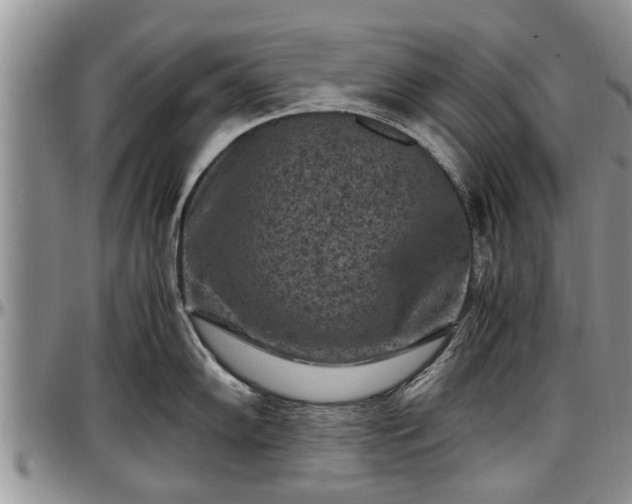 X0000097501102200802291553