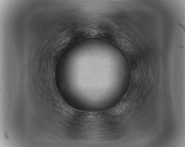 X0000097501105200802291552