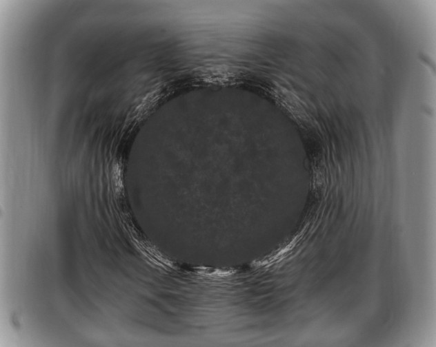 X0000097501106200802291552