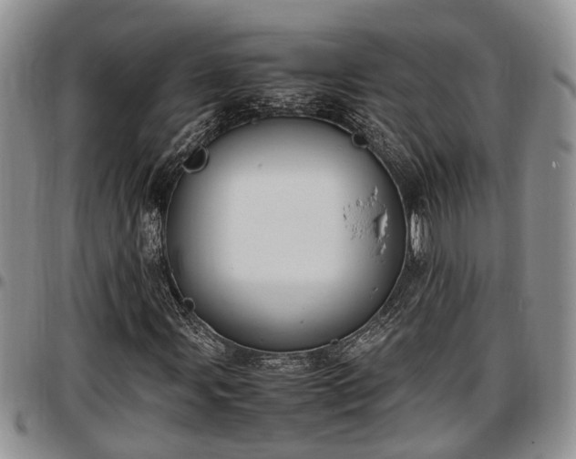 X0000097501107200802291552