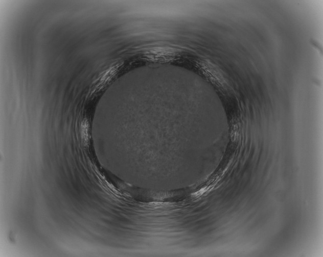 X0000097501108200802291552