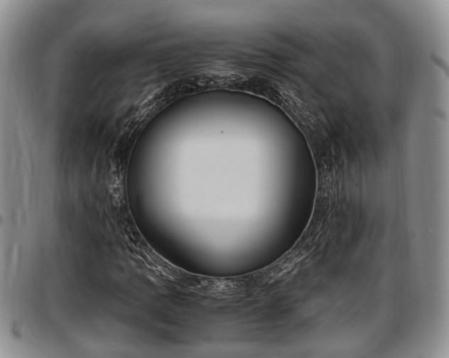 X0000097501109200802291552