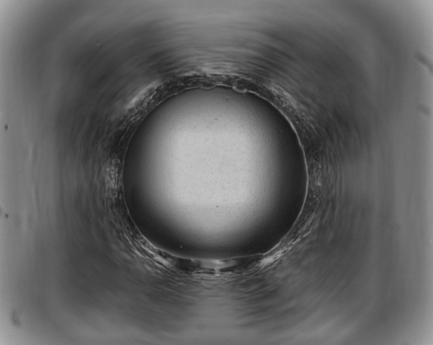X0000097501110200802291552
