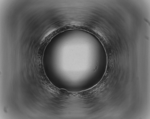 X0000097501112200802291552