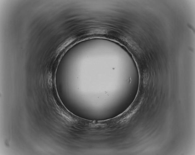X0000097501113200802291552
