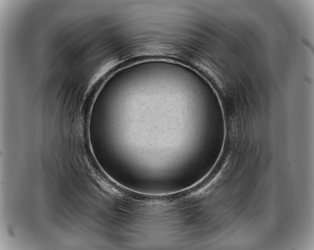 X0000097501114200802291552