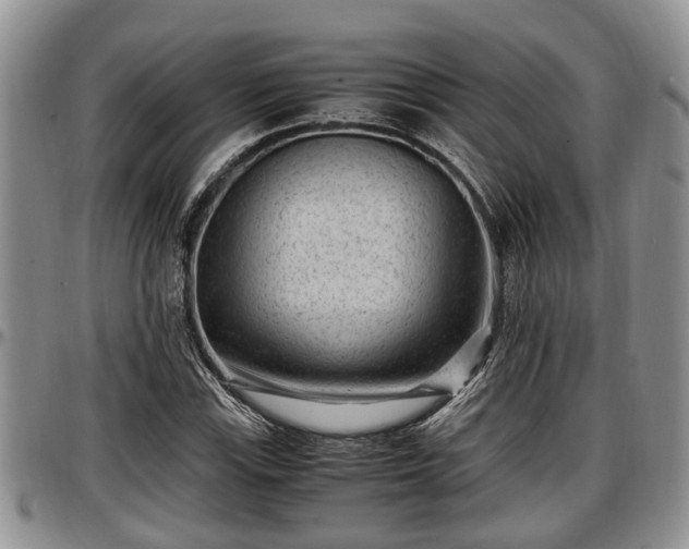 X0000097501115200802291552
