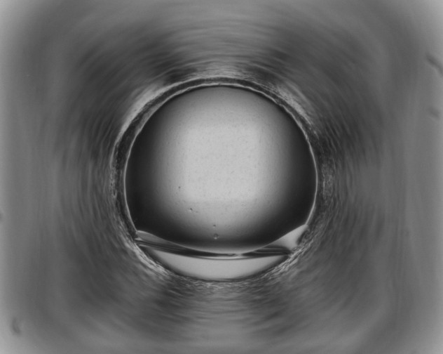 X0000097501116200802291552
