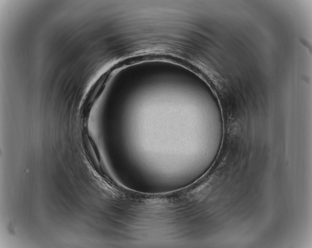 X0000097501118200802291552