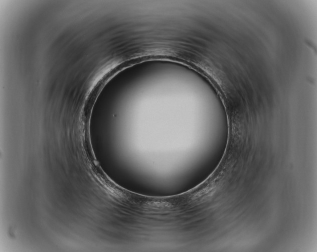 X0000097501119200802291552
