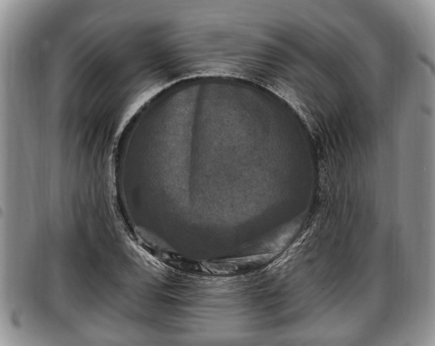 X0000097501120200802291552