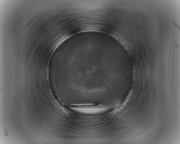 X0000097501121200802291552