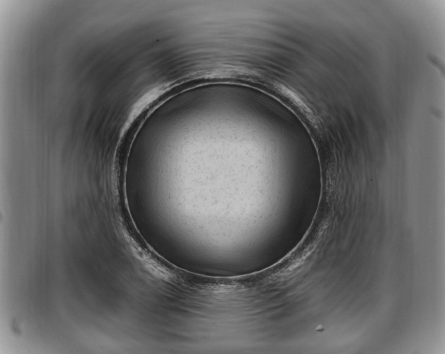 X0000097501122200802291552