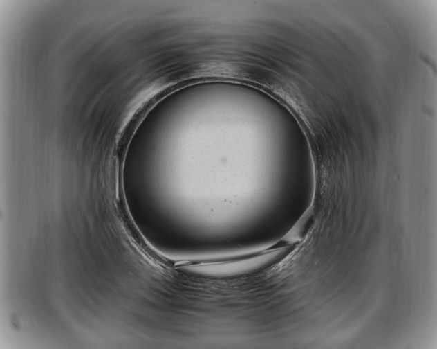 X0000097501123200802291552