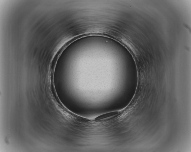 X0000097501124200802291552