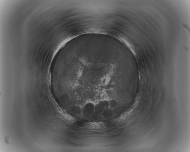 X0000097501125200802291552
